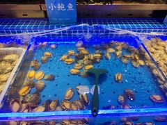 -鼎香缘海鲜自助火锅烤肉(锦辉购物广场店)