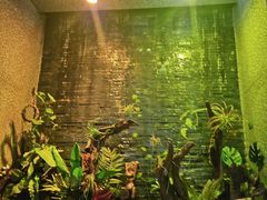 -泰适SPA馆丨精油·按摩·足道(后海地铁口店)