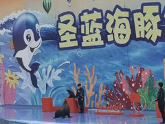 -北戴河圣蓝海洋公园