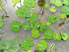 -四川大学(华西校区)