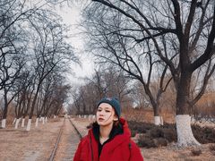 -永定河休闲森林公园