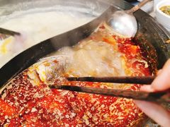 -鱻鱼捞.祥祥鱼锅(高淳一店)