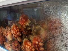 -真情鲍鱼海鲜汤
