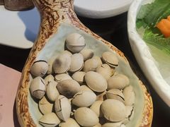 -黑松白鹿(金融街店)