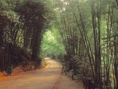 -四洞沟景区
