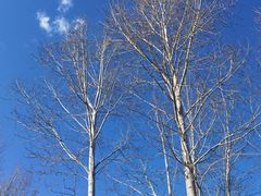 -丽江泸沽湖景区