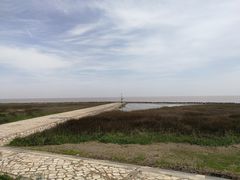 -南汇嘴观海公园