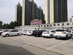 -秦美花卉(天朗·莱茵小城2期店)