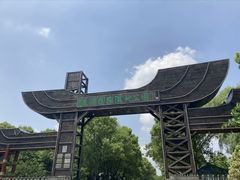 -溱湖国家湿地公园