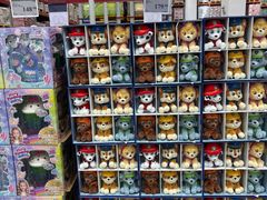 -山姆会员商店(上海浦东店)