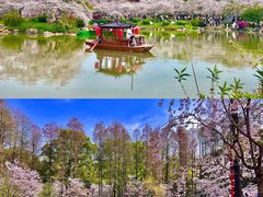 -东湖磨山景区
