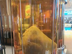 -清真军邺·金富苑肥牛城(海湖新区精品店)