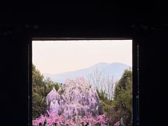 -丽江千古情