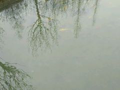 -观唐（国际）度假村温泉