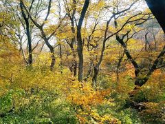 -大青沟风景区