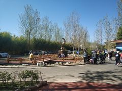 -阿斯牛牛十二餐厅•四季餐厅(民族大道店)