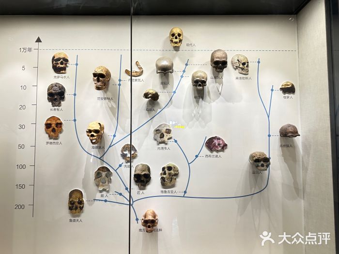 柳州白莲洞洞穴科学博物馆图片