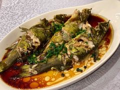 清蒸昂刺鱼-明仕度假山庄-中餐厅