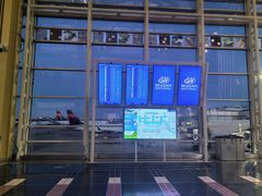 -罗纳德·里根华盛顿国家机场