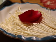 -青瓷火锅料理(西单大悦城店)