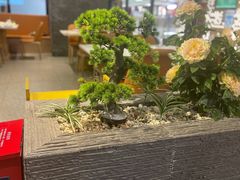 -八珍玉食鸡煲·打边炉(印象城店)