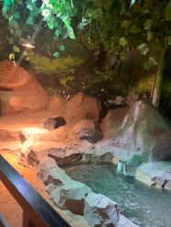 -酷嗒动物文化乐园(cutezoo西溪乐天城店)