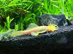 -上海海洋水族馆