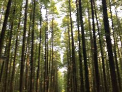 -山王坪喀斯特国家生态公园