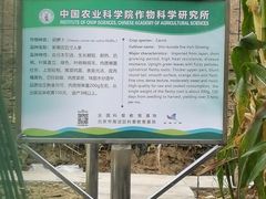 -老回回饺子馆(海洋馆店)