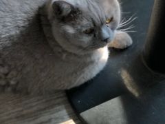 -小时光咖啡馆(北锣鼓巷店)