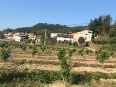 -井冈山革命烈士陵园
