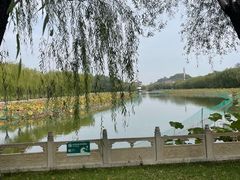 -南戴河国际娱乐中心