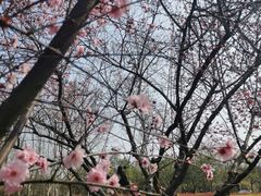 -白塘生态植物园