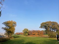 -北京京辉高尔夫俱乐部有限公司