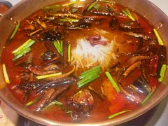 -牛阿姐云南火锅&过桥米线(文艺路店)