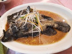 清蒸活龙胆鱼-同君福大酒楼(紫新路店)