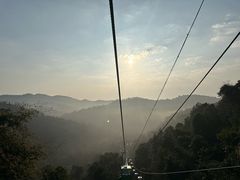 -野象谷景区