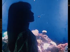 -江和美海洋公园