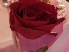 -马克西姆餐厅(崇文门店)