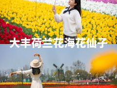 -荷兰花海