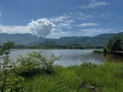 -大九湖