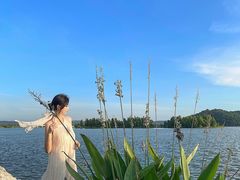 -东湖落雁景区