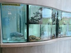-唐宫·粤菜海鲜(万象城店)