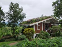 -黄色小屋