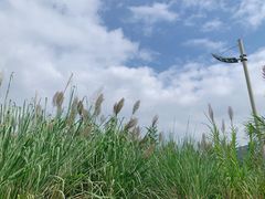 -中国宜宾·长江地标广场