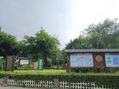 -神仙树公园