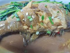 -百姓渔村(南中环店)