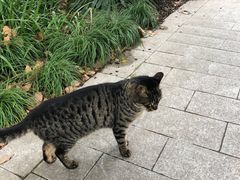 -西郊宾馆·1921餐厅