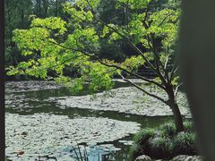 -杭州植物园