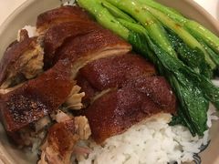 特色吊烧溪米鸭饭-禄興記香港大排档(歌斐中心店)